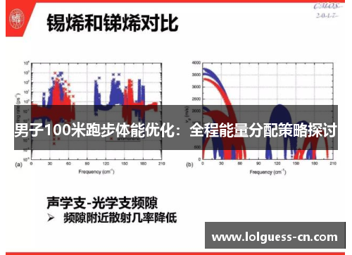 男子100米跑步体能优化：全程能量分配策略探讨